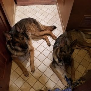 Meet your Posher, Abel